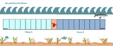 Grade K Math CCSS Games Packet (over 100+Games!)